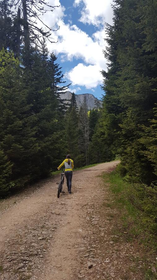 Apartmani Vila Zabljak Bagian luar foto